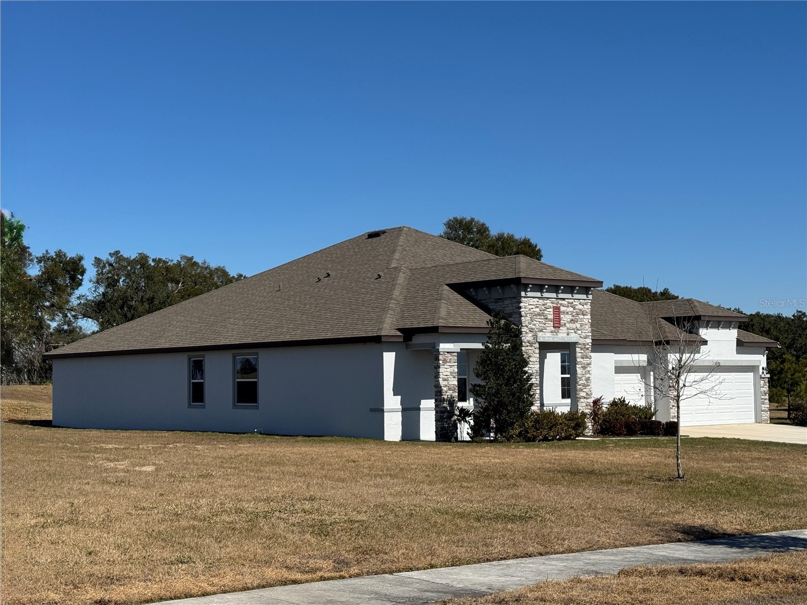 10190 Dolphin Gull Circle Thonotosassa FL 33592 TB8471267 image7