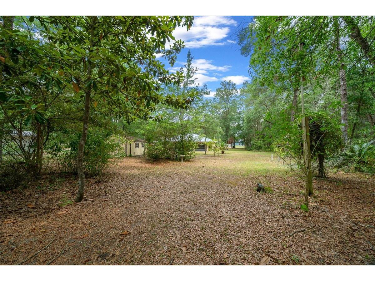 10190 N Athenia Drive Citrus Springs FL 34434 OM724726 image41