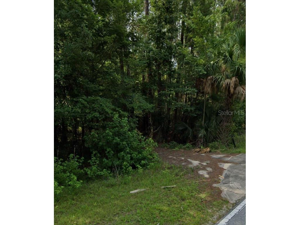 10190 NE Highway 314 Silver Springs FL 34488 GC524141 image1