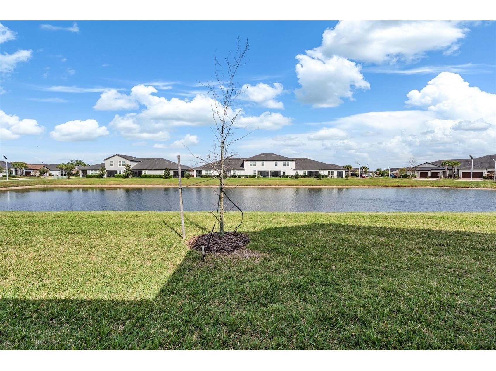 10191 Echo Dock Loop San Antonio FL 33576 TB8488222 image15