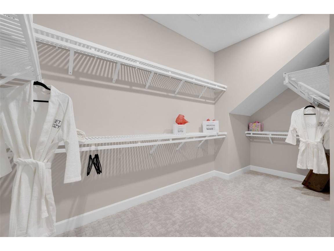 10193 Brocksport Circle Gotha FL 34734 O6370945 image30