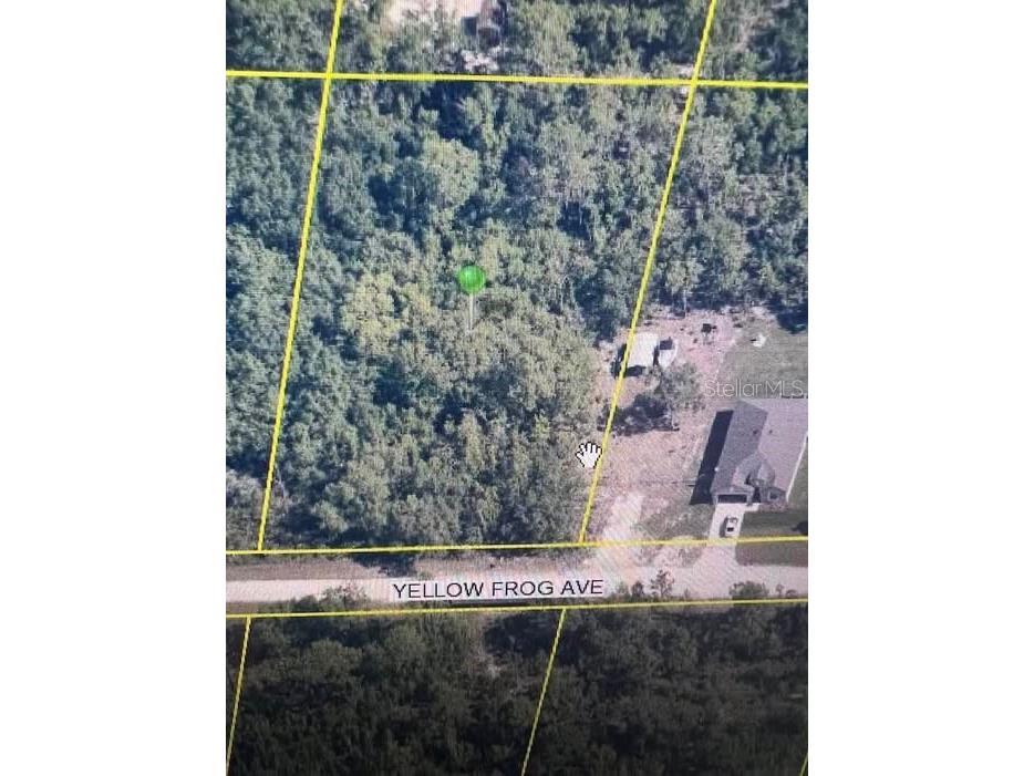 10193 Yellow Frog Avenue Weeki Wachee FL 34614 TB8329936 image1