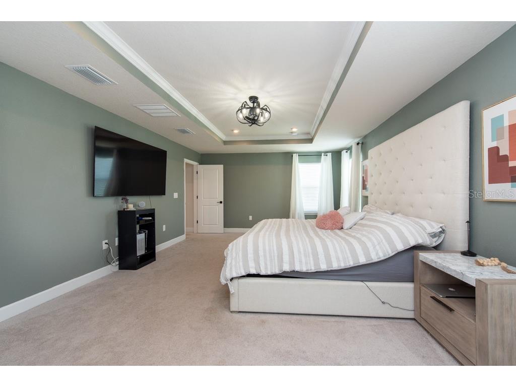 10194 Gliding Eagle Way, Land O Lakes, FL, 34638 MLS T3516325