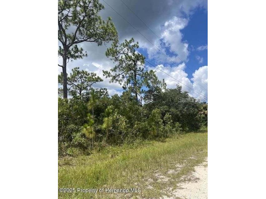 10194 Yellow Frog Avenue Weeki Wachee FL 34614 TB8488595 image1