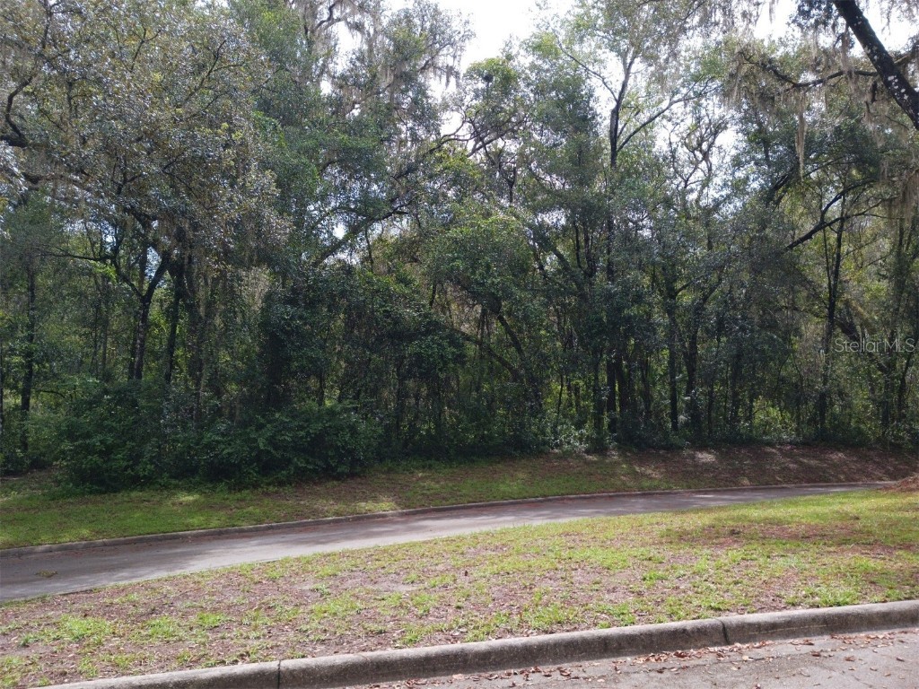 10195 N Big Bass Trail #11A Dunnellon FL 34434 OM663112 image1