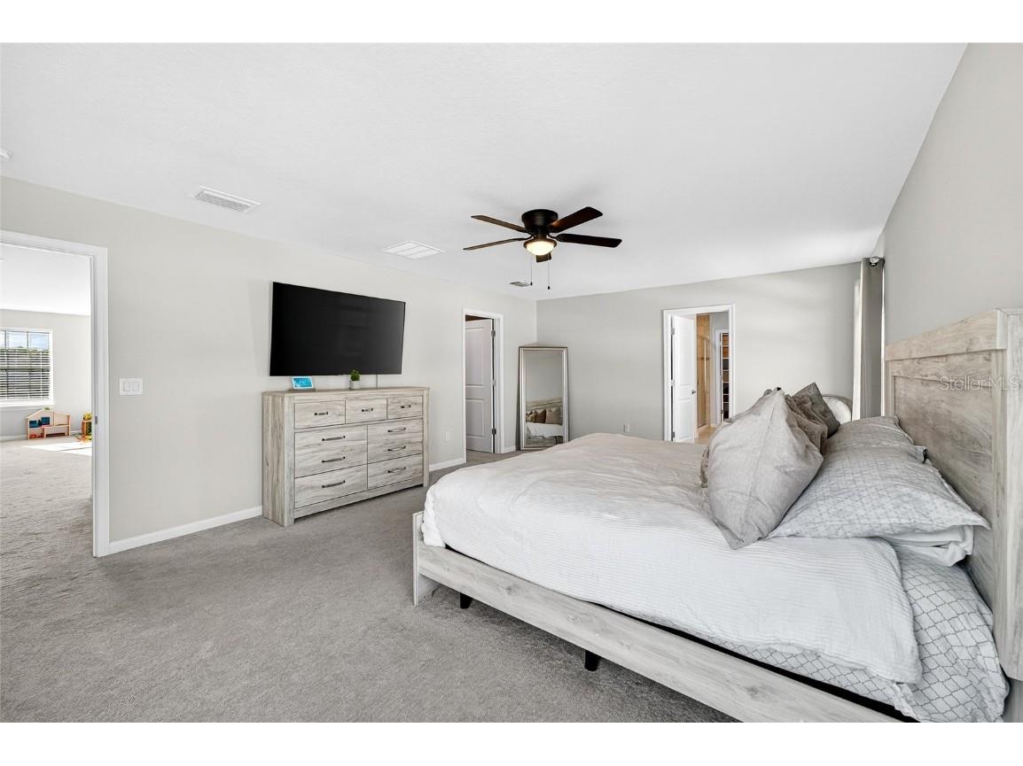 10196 Agave Court Land O Lakes FL 34638 TB8448746 image28