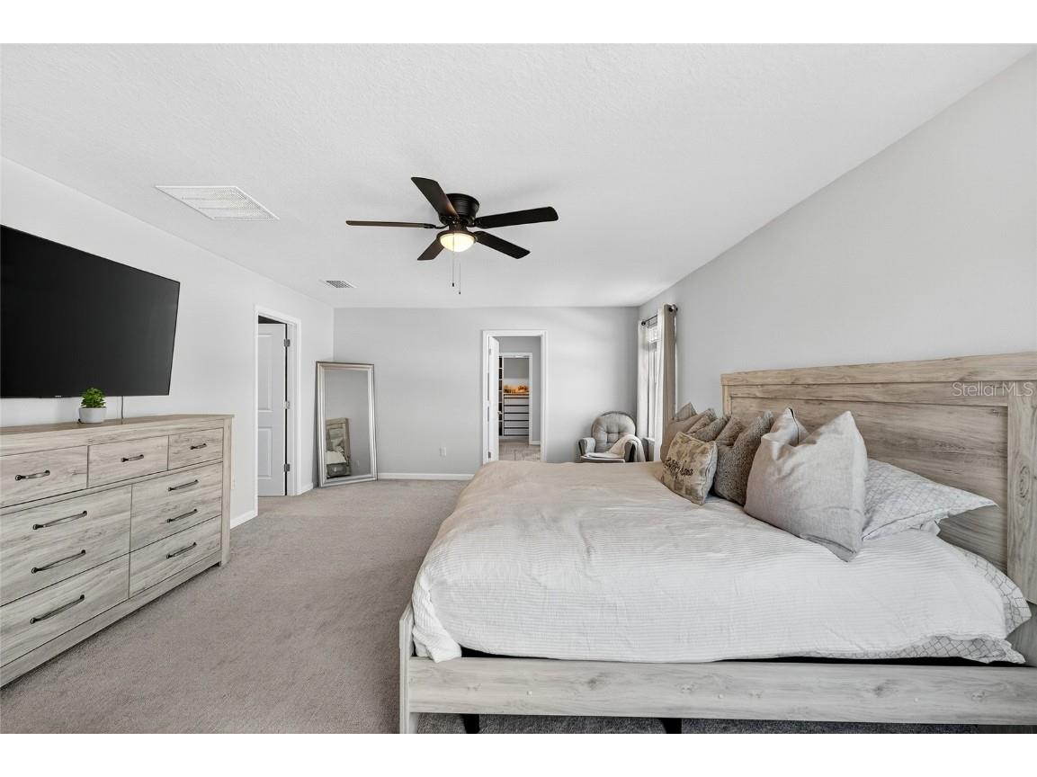 10196 Agave Court Land O Lakes FL 34638 TB8448746 image29