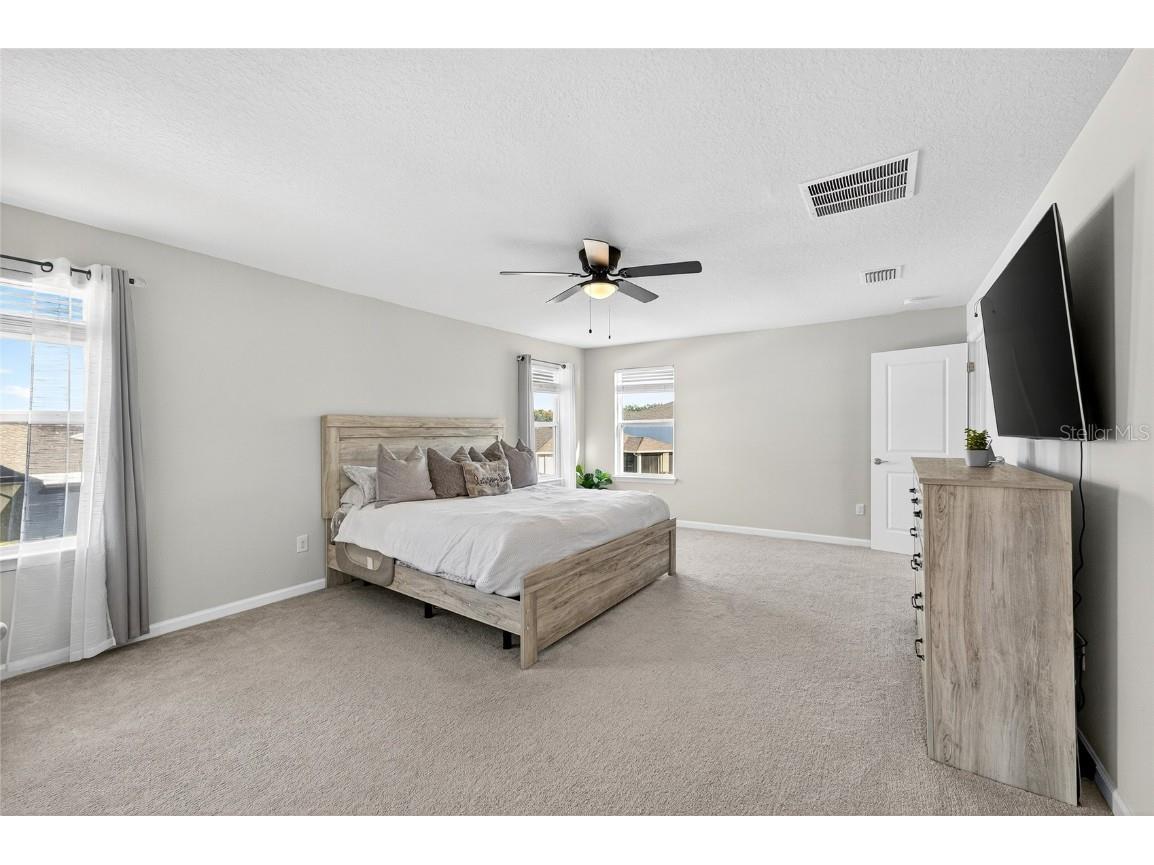 10196 Agave Court Land O Lakes FL 34638 TB8448746 image30