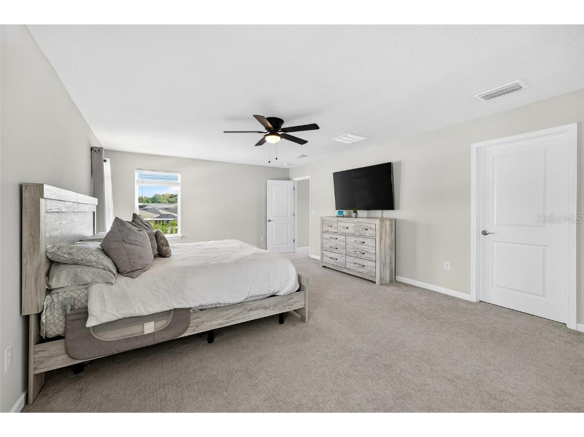 10196 Agave Court Land O Lakes FL 34638 TB8448746 image31