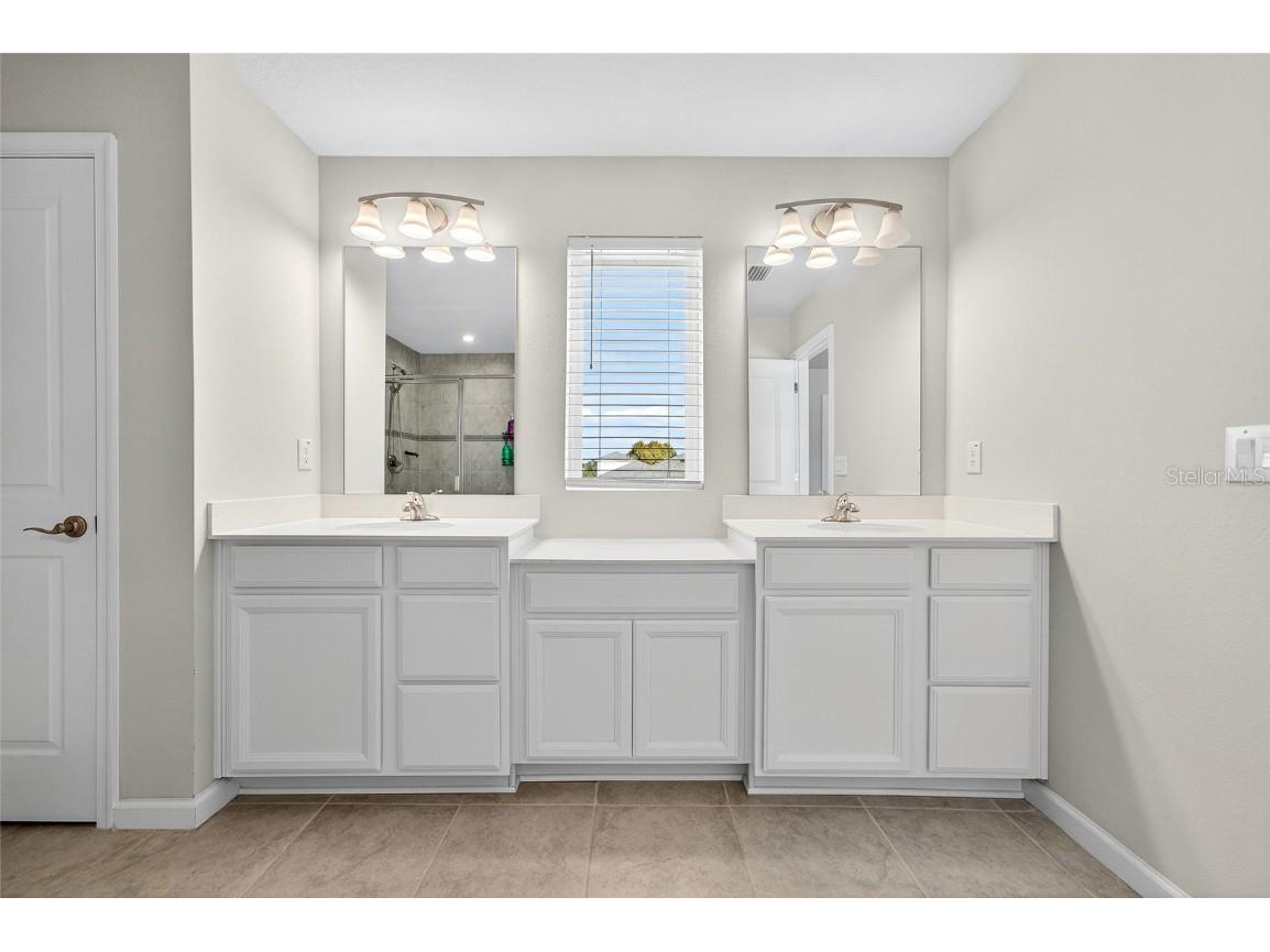 10196 Agave Court Land O Lakes FL 34638 TB8448746 image37