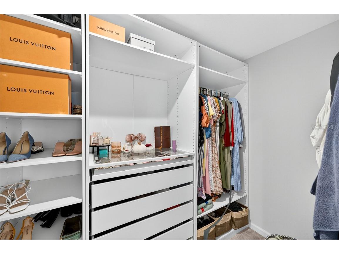 10196 Agave Court Land O Lakes FL 34638 TB8448746 image39