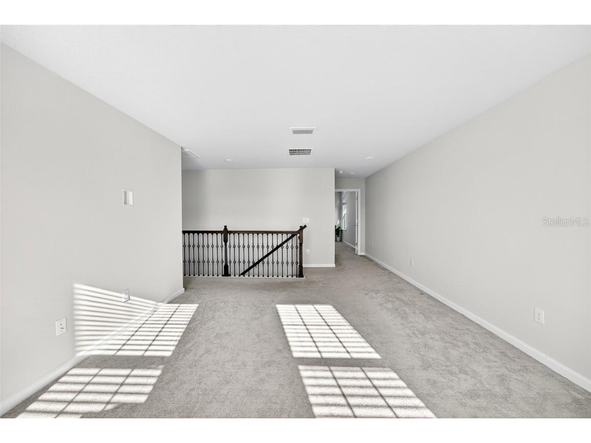 10196 Agave Court Land O Lakes FL 34638 TB8448746 image41