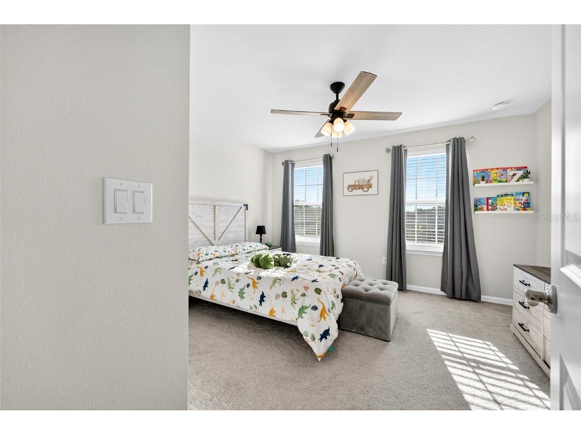 10196 Agave Court Land O Lakes FL 34638 TB8448746 image42