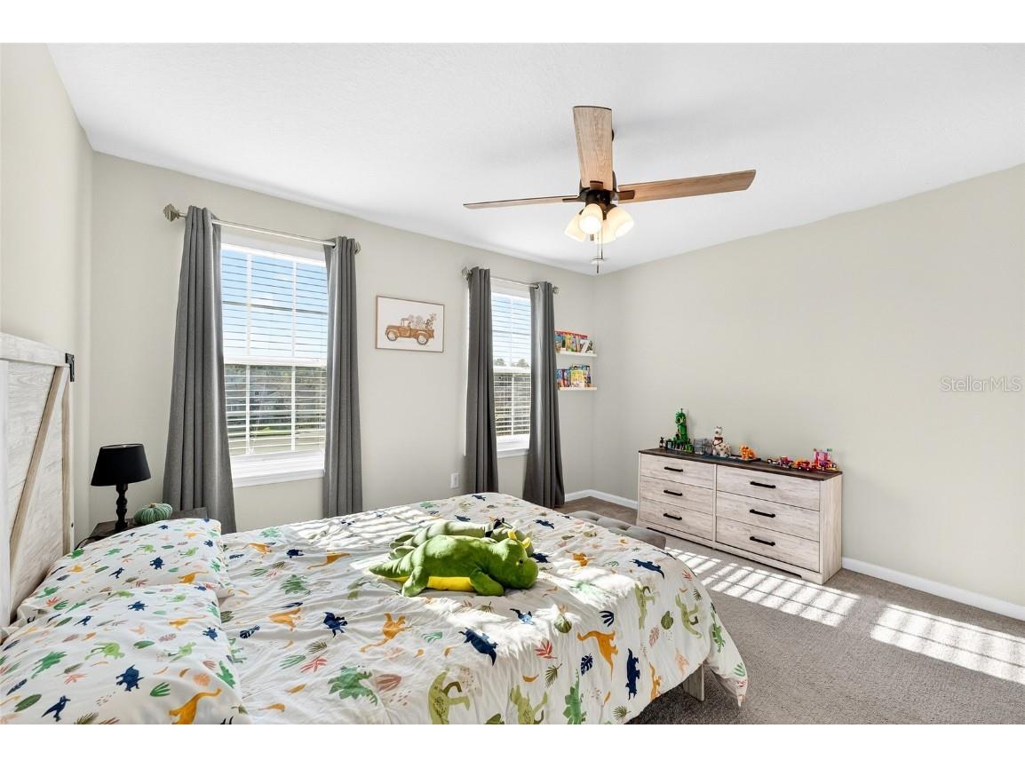 10196 Agave Court Land O Lakes FL 34638 TB8448746 image43