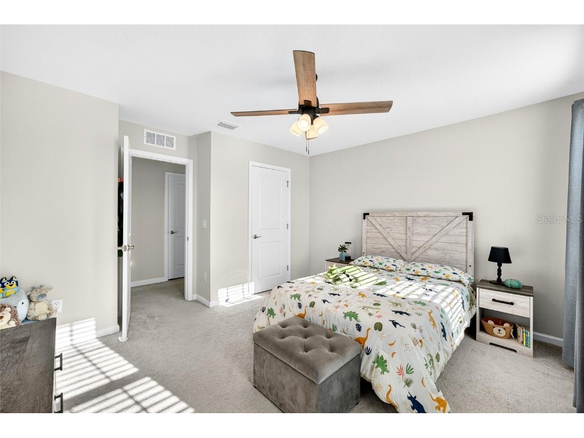 10196 Agave Court Land O Lakes FL 34638 TB8448746 image44