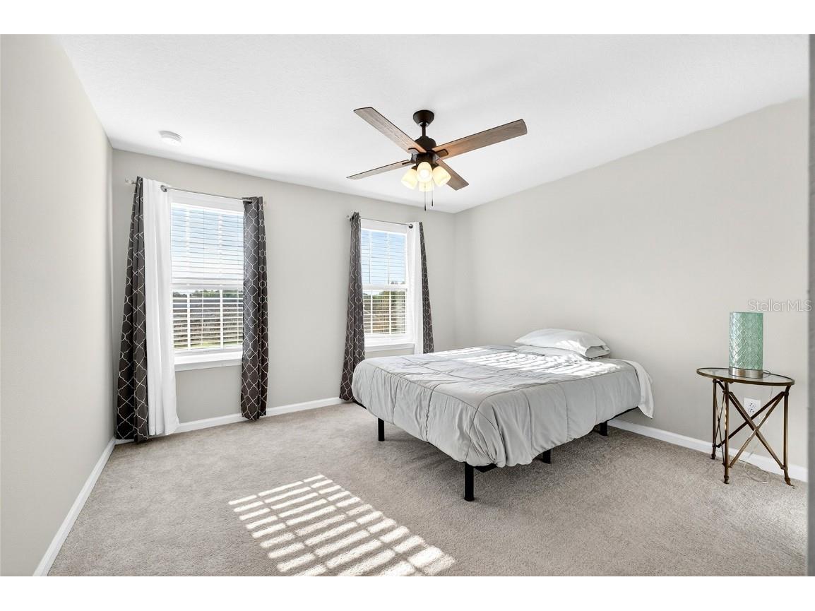 10196 Agave Court Land O Lakes FL 34638 TB8448746 image46