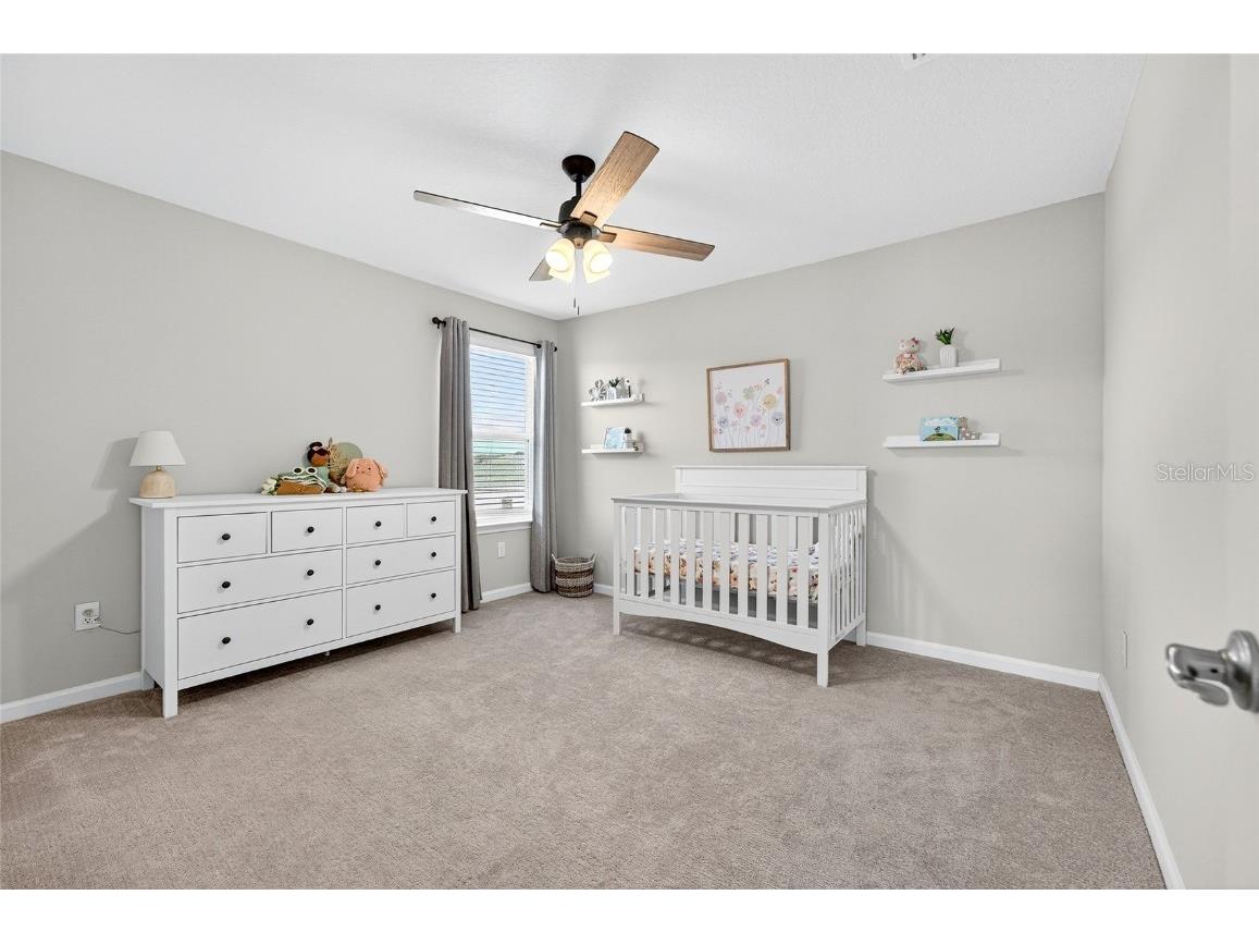 10196 Agave Court Land O Lakes FL 34638 TB8448746 image48