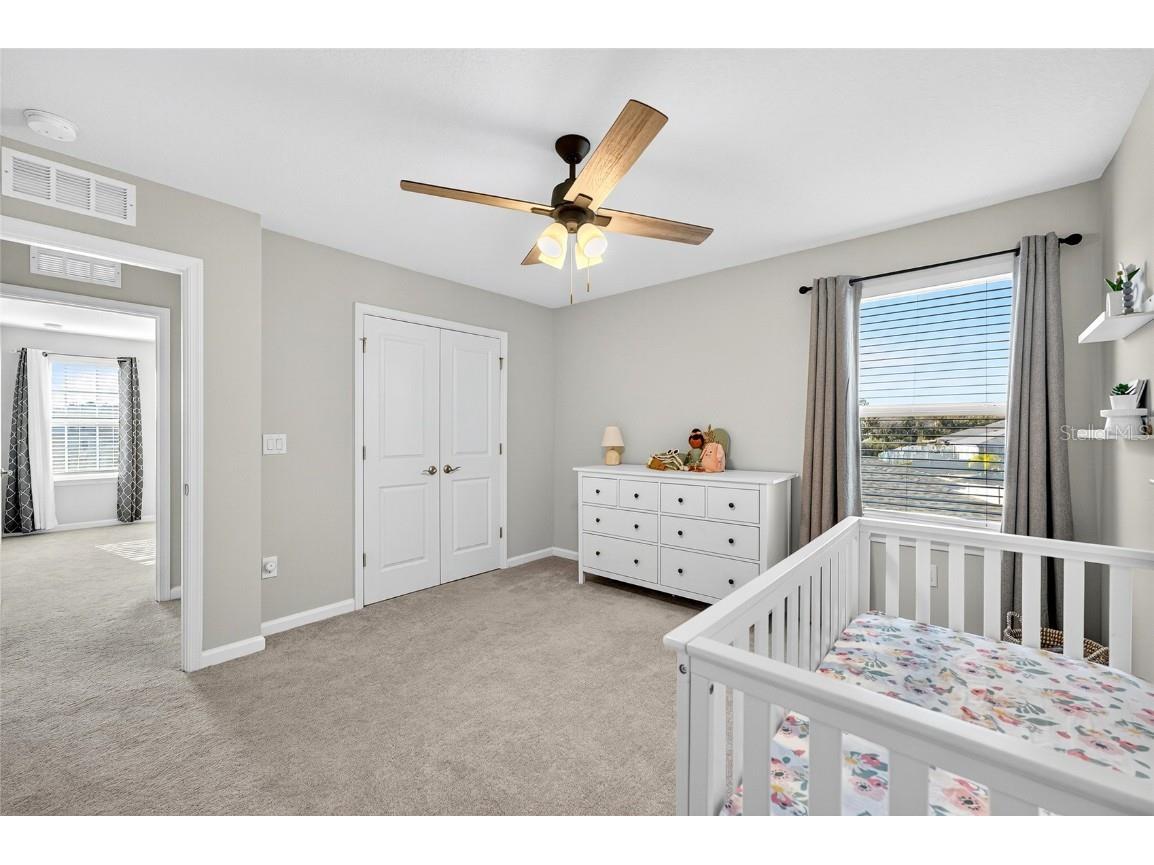 10196 Agave Court Land O Lakes FL 34638 TB8448746 image49