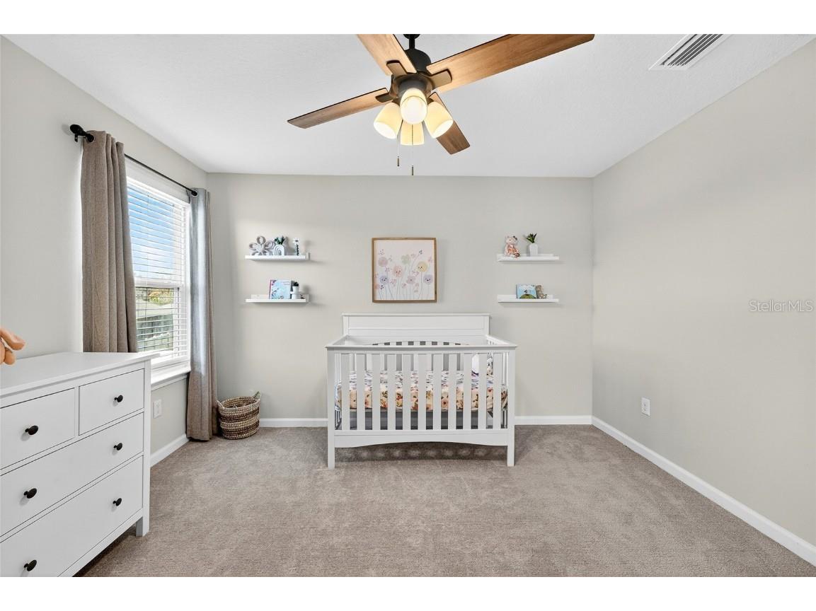 10196 Agave Court Land O Lakes FL 34638 TB8448746 image50