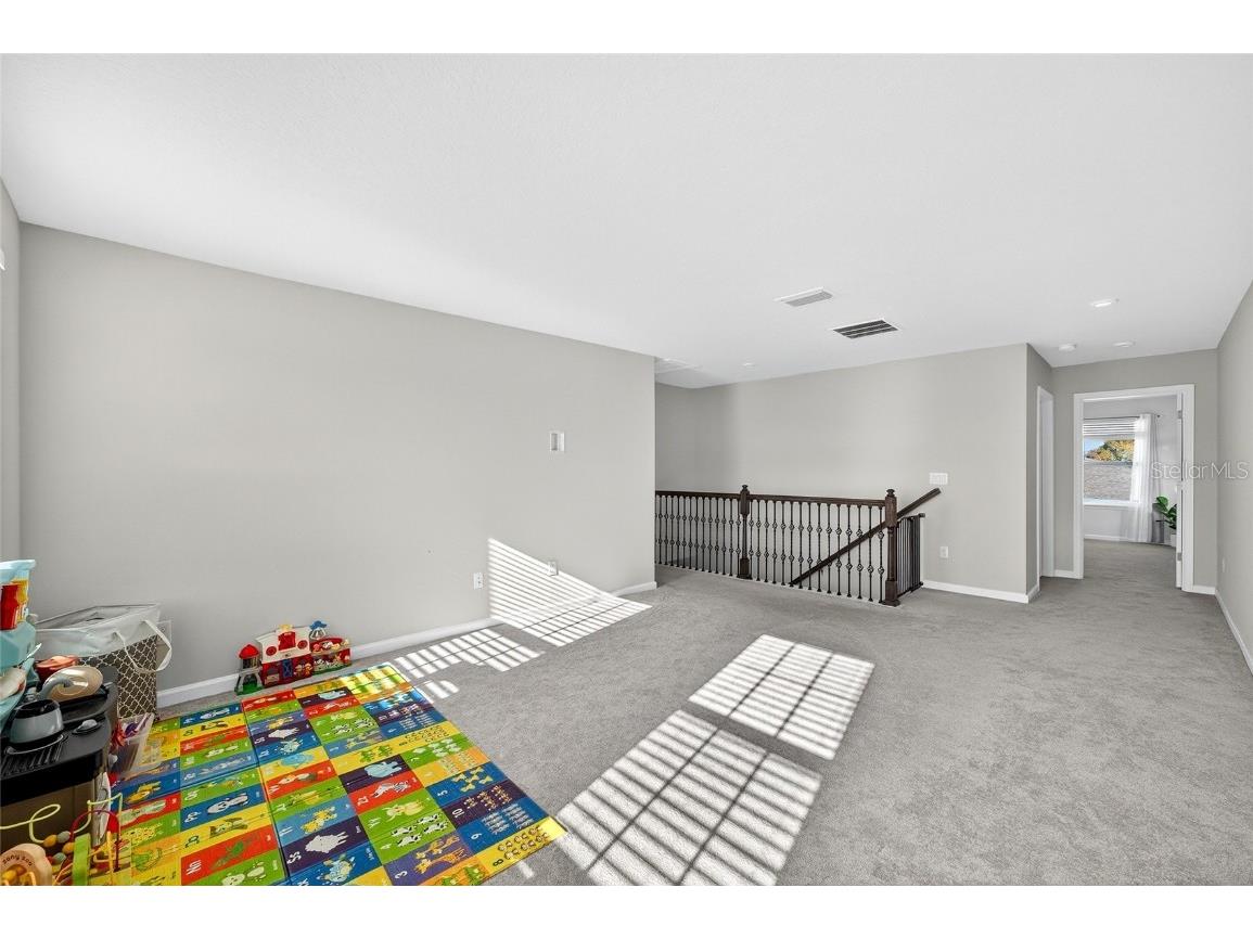 10196 Agave Court Land O Lakes FL 34638 TB8448746 image51