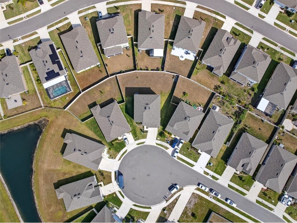 10196 Agave Court Land O Lakes FL 34638 TB8448746 image70