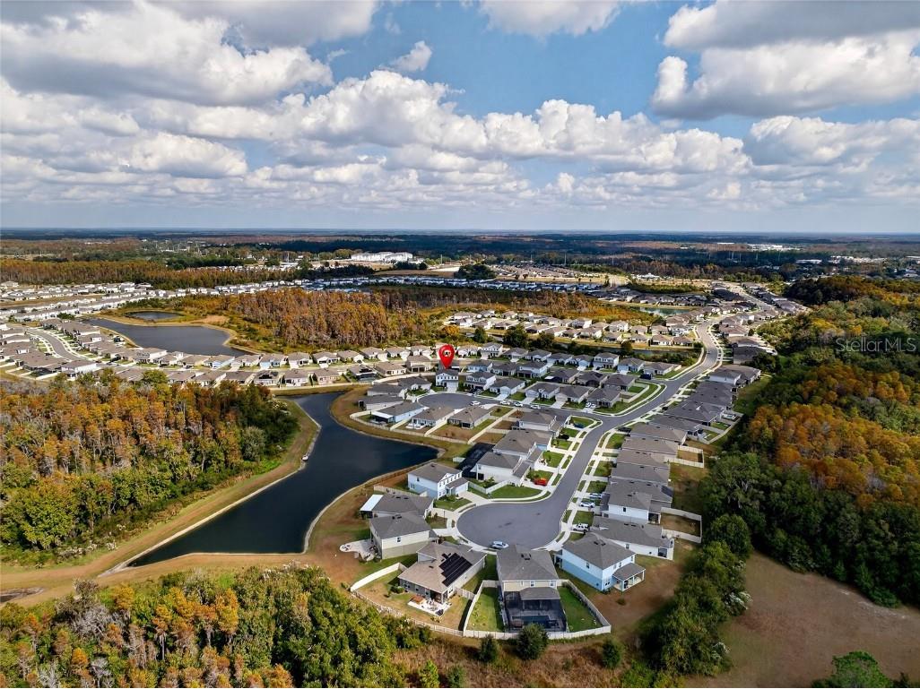 10196 Agave Court Land O Lakes FL 34638 TB8448746 image72