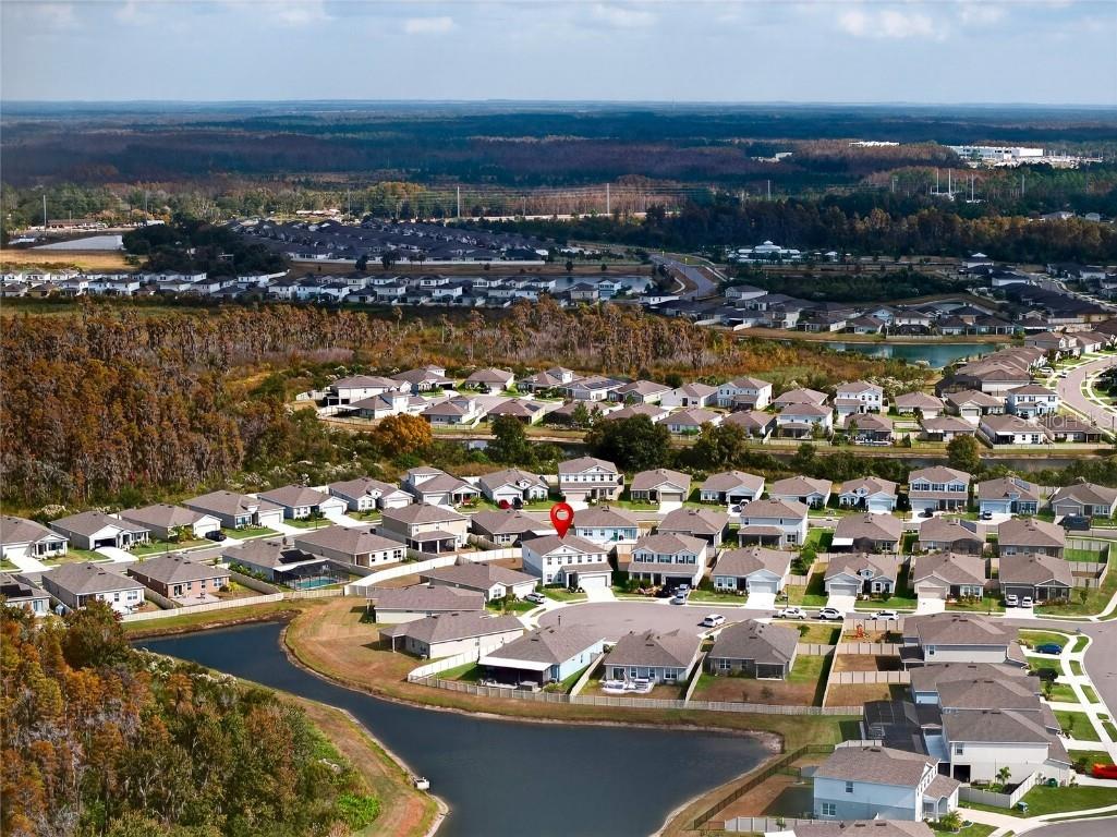 10196 Agave Court Land O Lakes FL 34638 TB8448746 image74