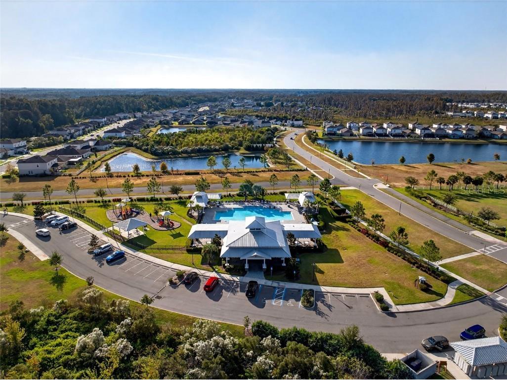 10196 Agave Court Land O Lakes FL 34638 TB8448746 image81