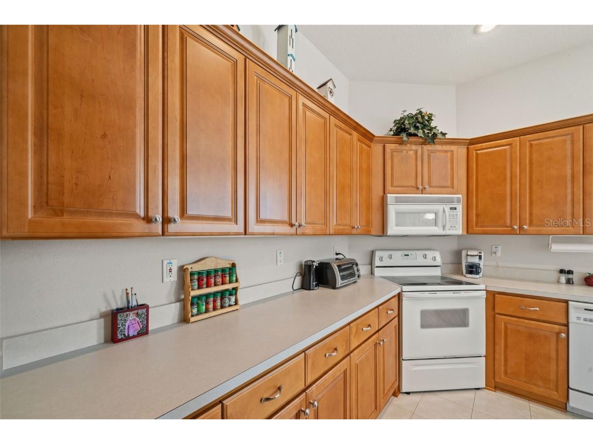 10199 Holly Berry Drive Weeki Wachee FL 34613 TB8443479 image11