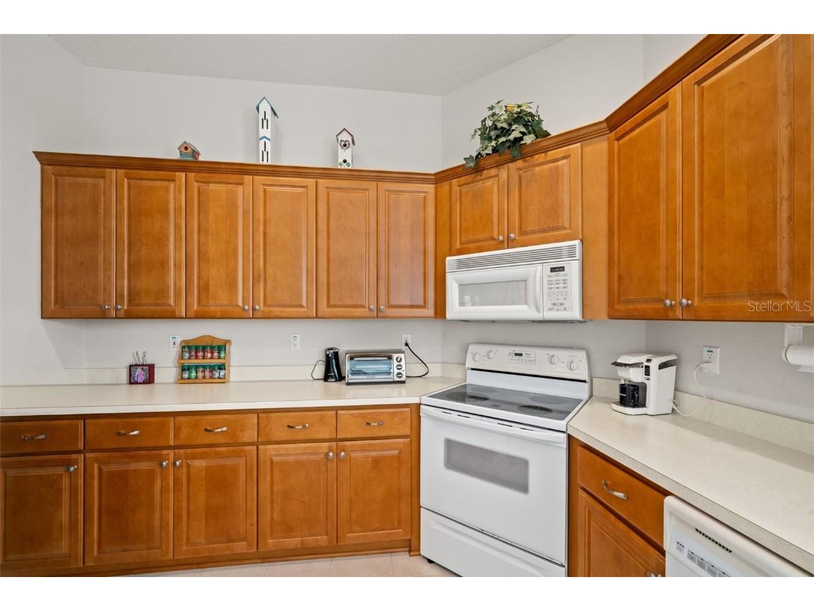 10199 Holly Berry Drive Weeki Wachee FL 34613 TB8443479 image14