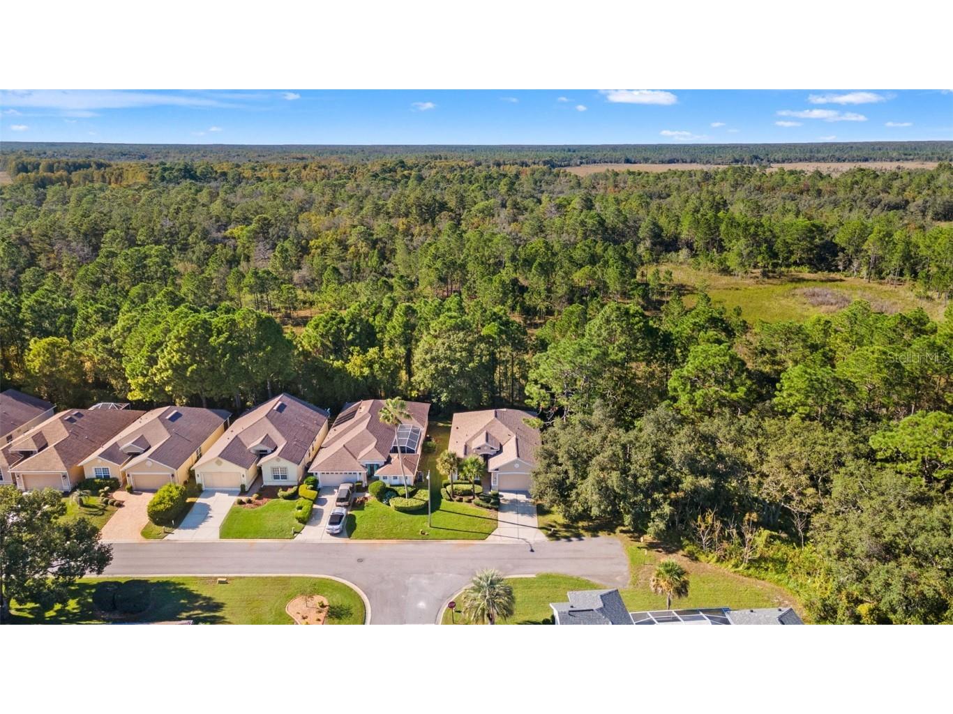 10199 Holly Berry Drive Weeki Wachee FL 34613 TB8443479 image40