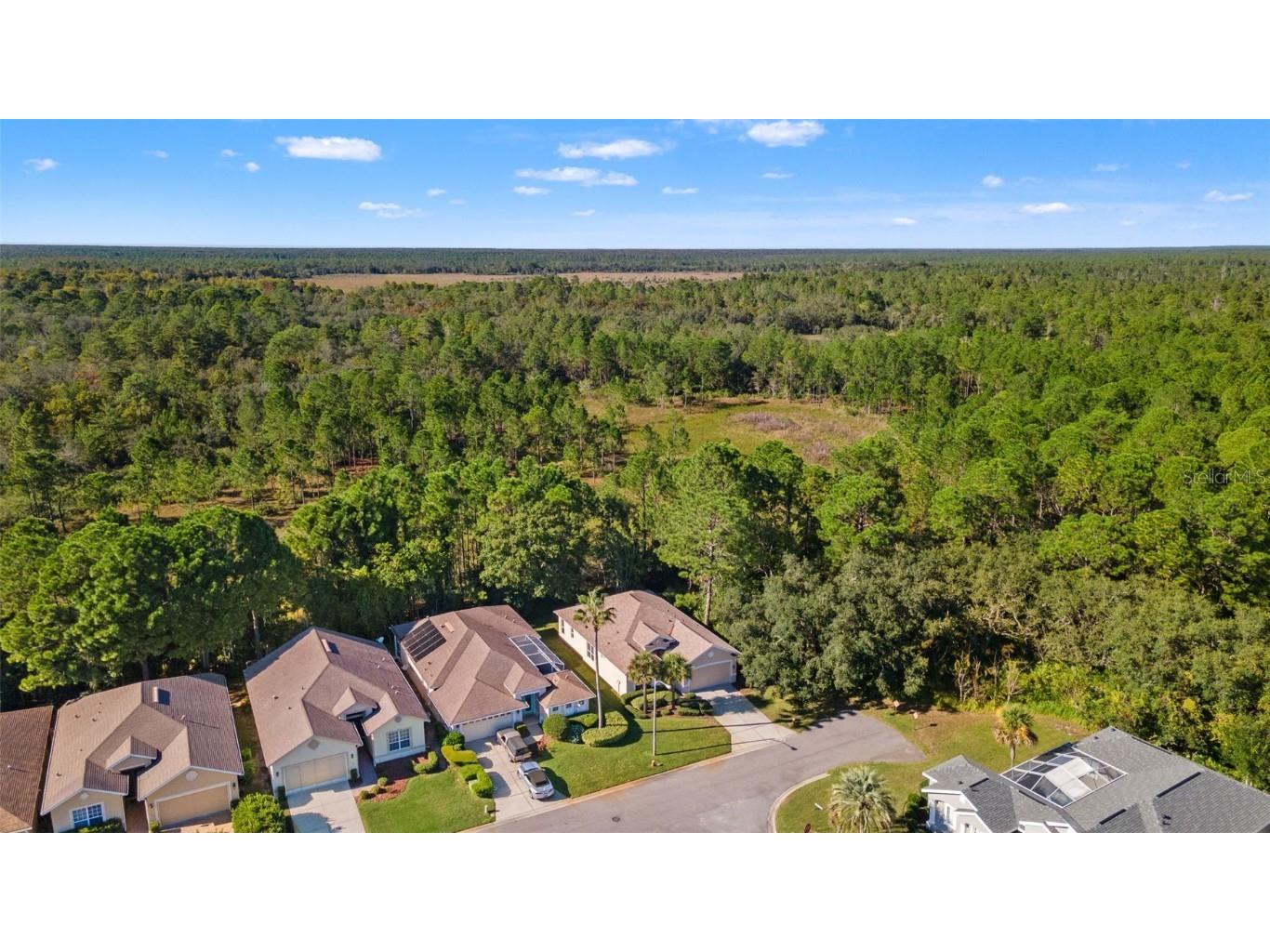 10199 Holly Berry Drive Weeki Wachee FL 34613 TB8443479 image41