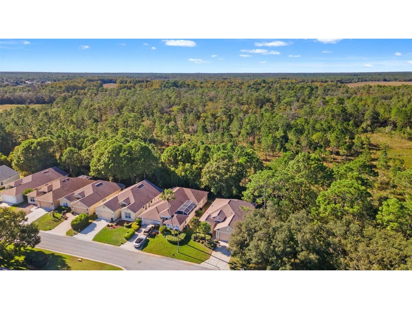 10199 Holly Berry Drive Weeki Wachee FL 34613 TB8443479 image42