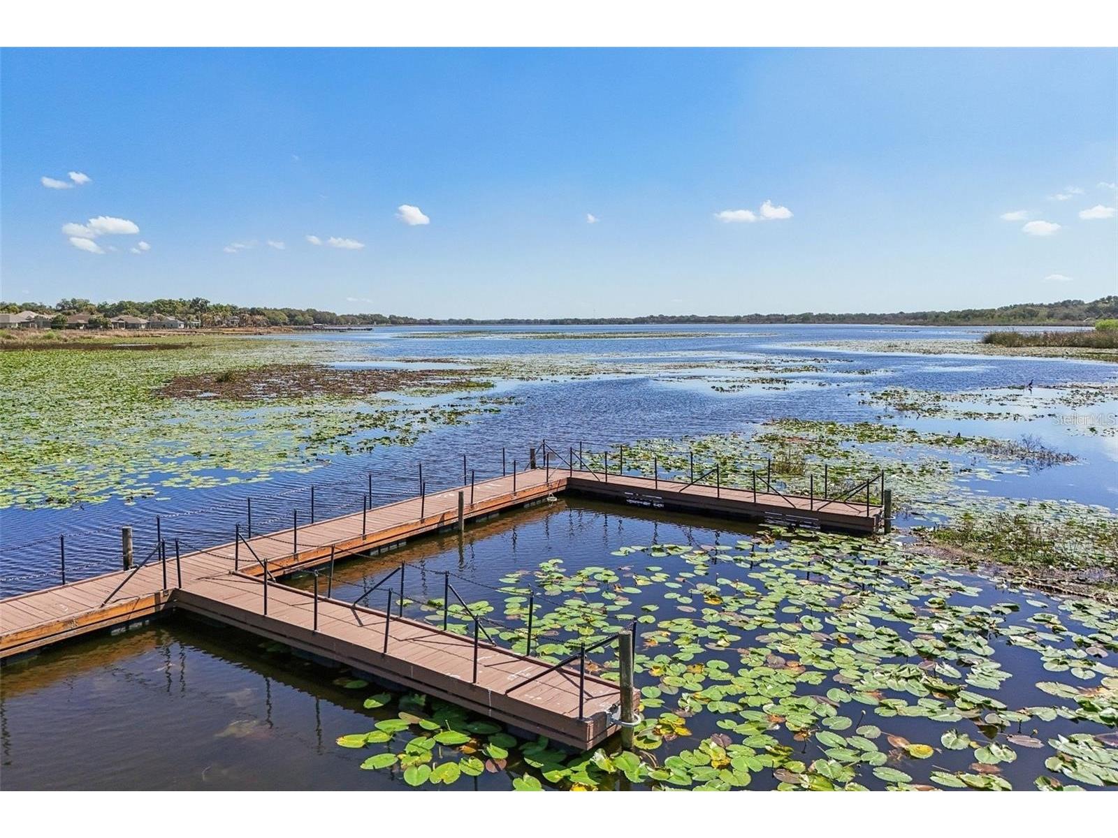 10199 Mainsail Drive Oxford FL 34484 - LAKE MIONA G5112131 image56