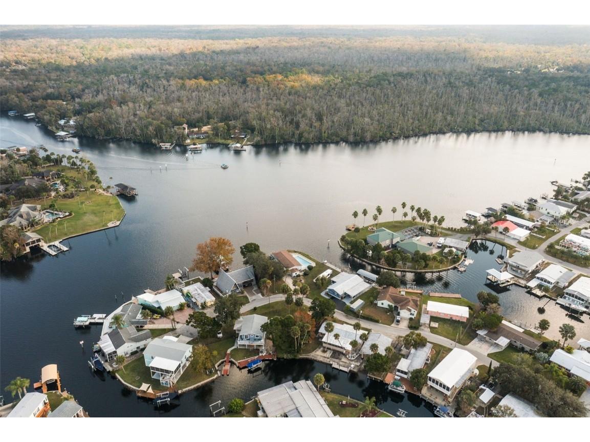 10199 W Blue Springs Court Homosassa FL 34448 OM714075 image14