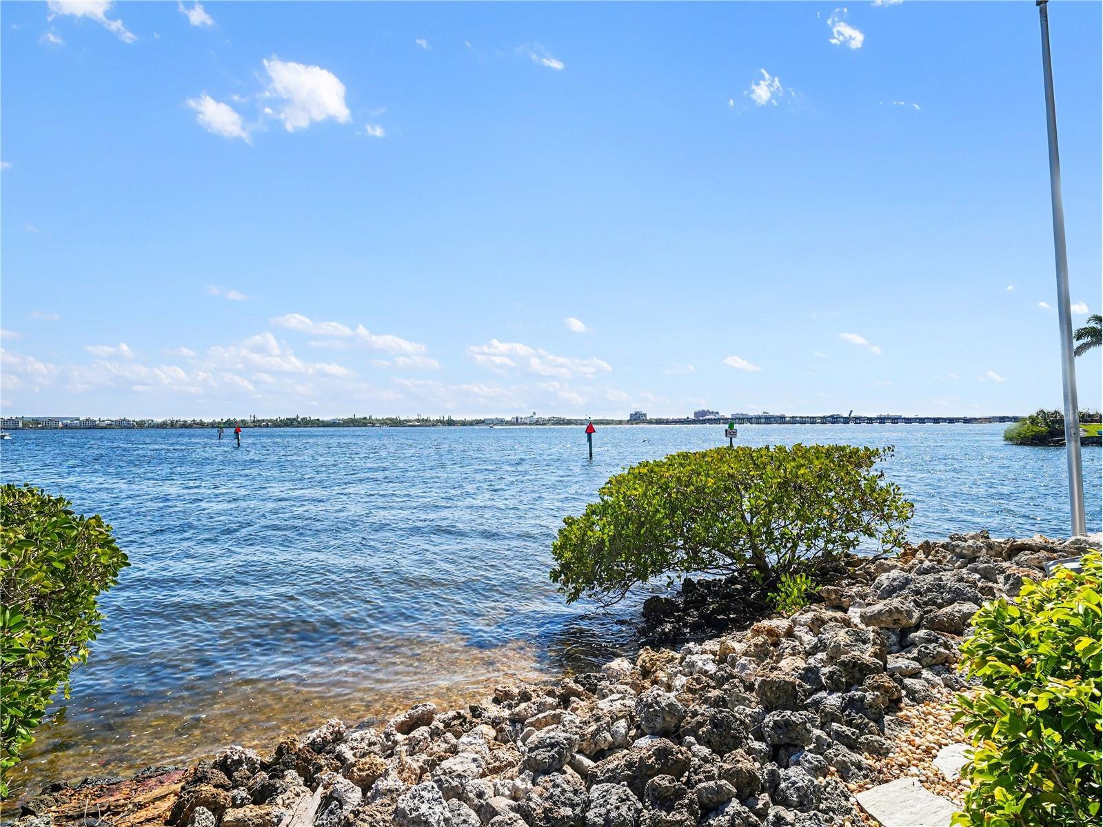 102 12th Avenue E Palmetto FL 34221 - MANATEE RIVER N6143586 image44