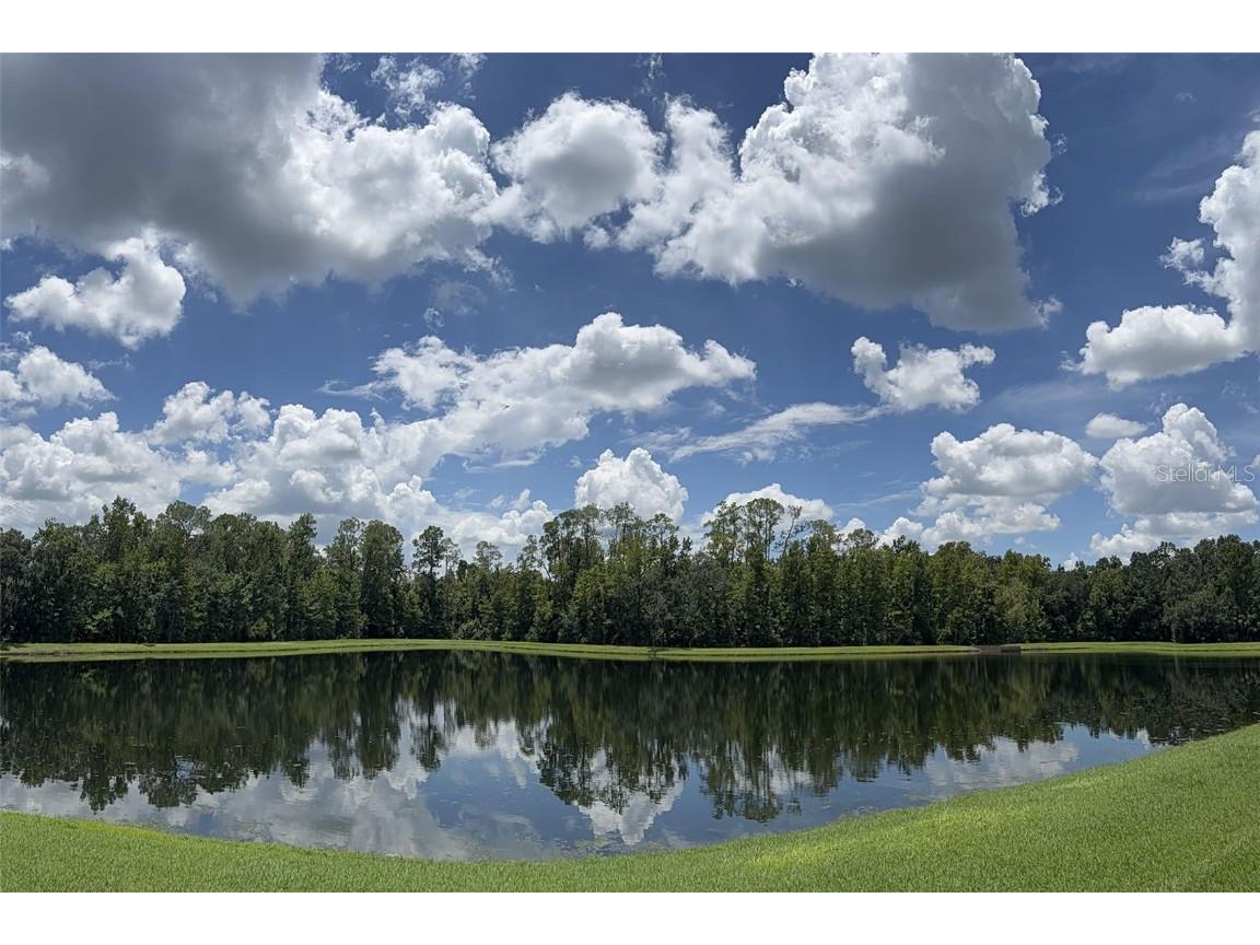 102 Acadia Terrace Celebration FL 34747 O6351888 image31