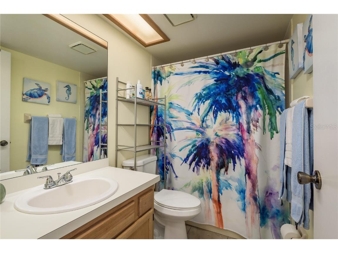 102 Anclote Road Tarpon Springs FL 34689 TB8451660 image25