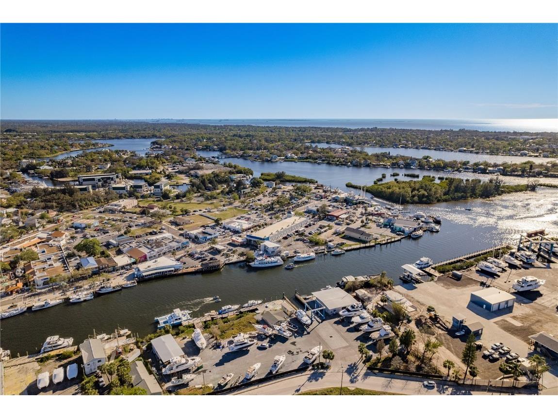 102 Anclote Road Tarpon Springs FL 34689 TB8451660 image40