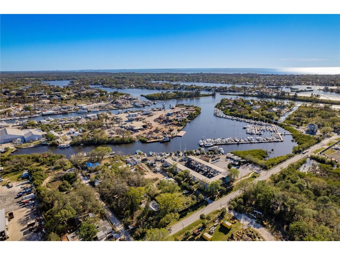 102 Anclote Road Tarpon Springs FL 34689 TB8451660 image41