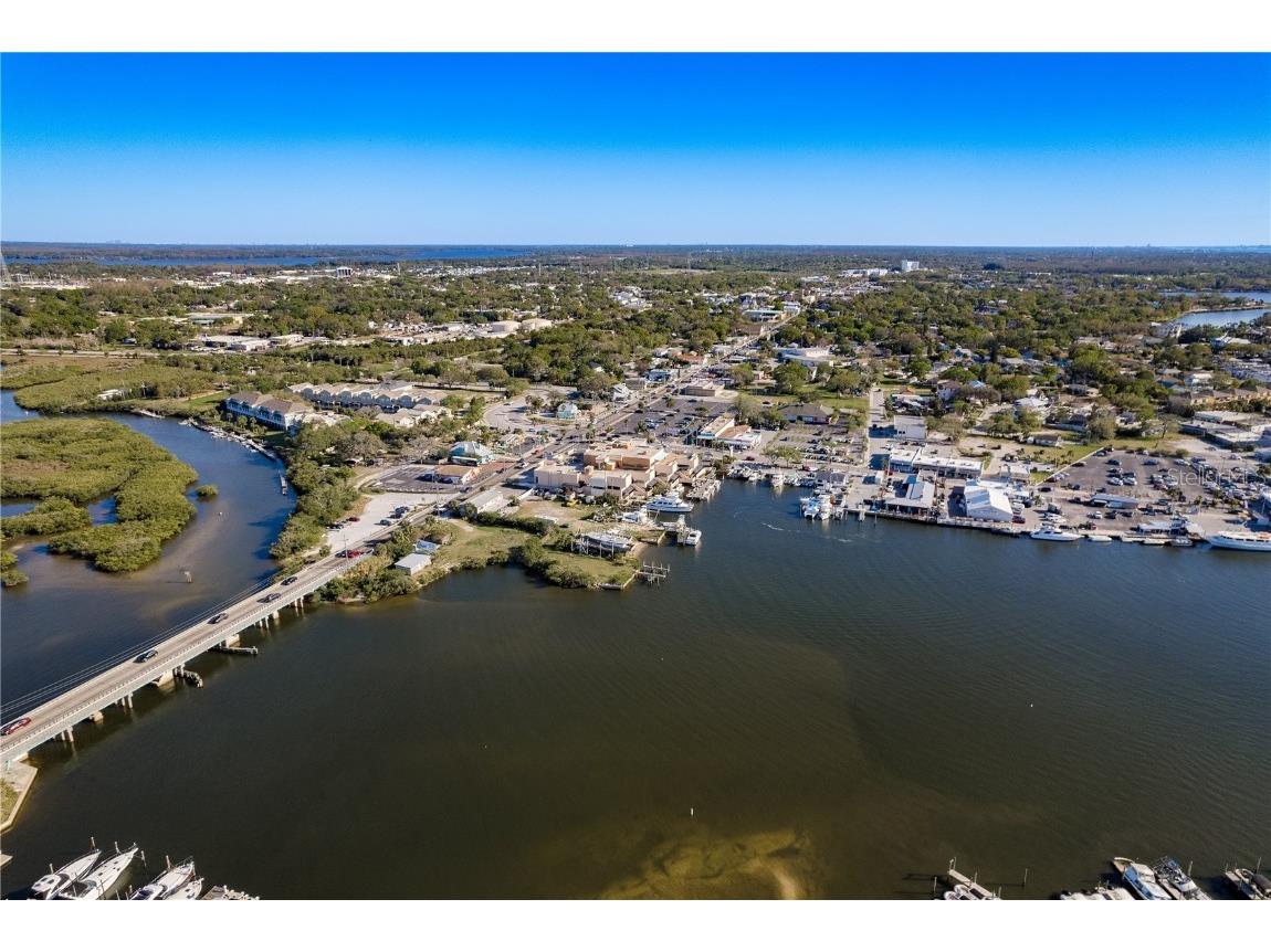 102 Anclote Road Tarpon Springs FL 34689 TB8451660 image42