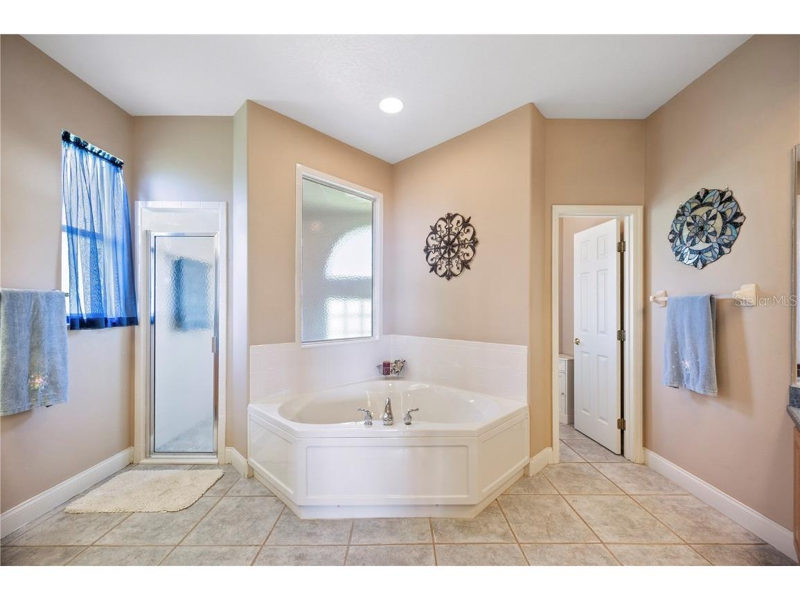 102 Bayberry Drive Polk City FL 33868 - LAKE AGNES L4955251 image25