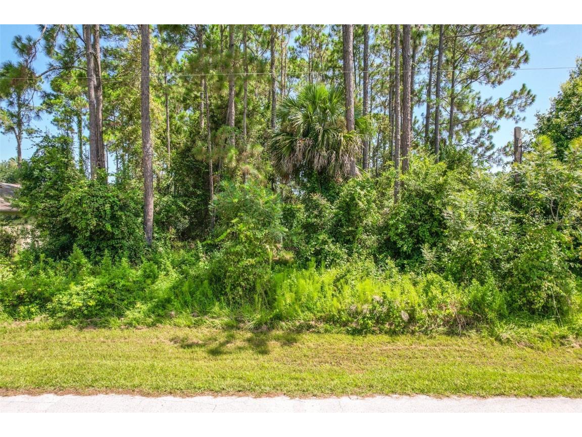 102 Bayside Drive Palm Coast FL 32137 FC297501 image1