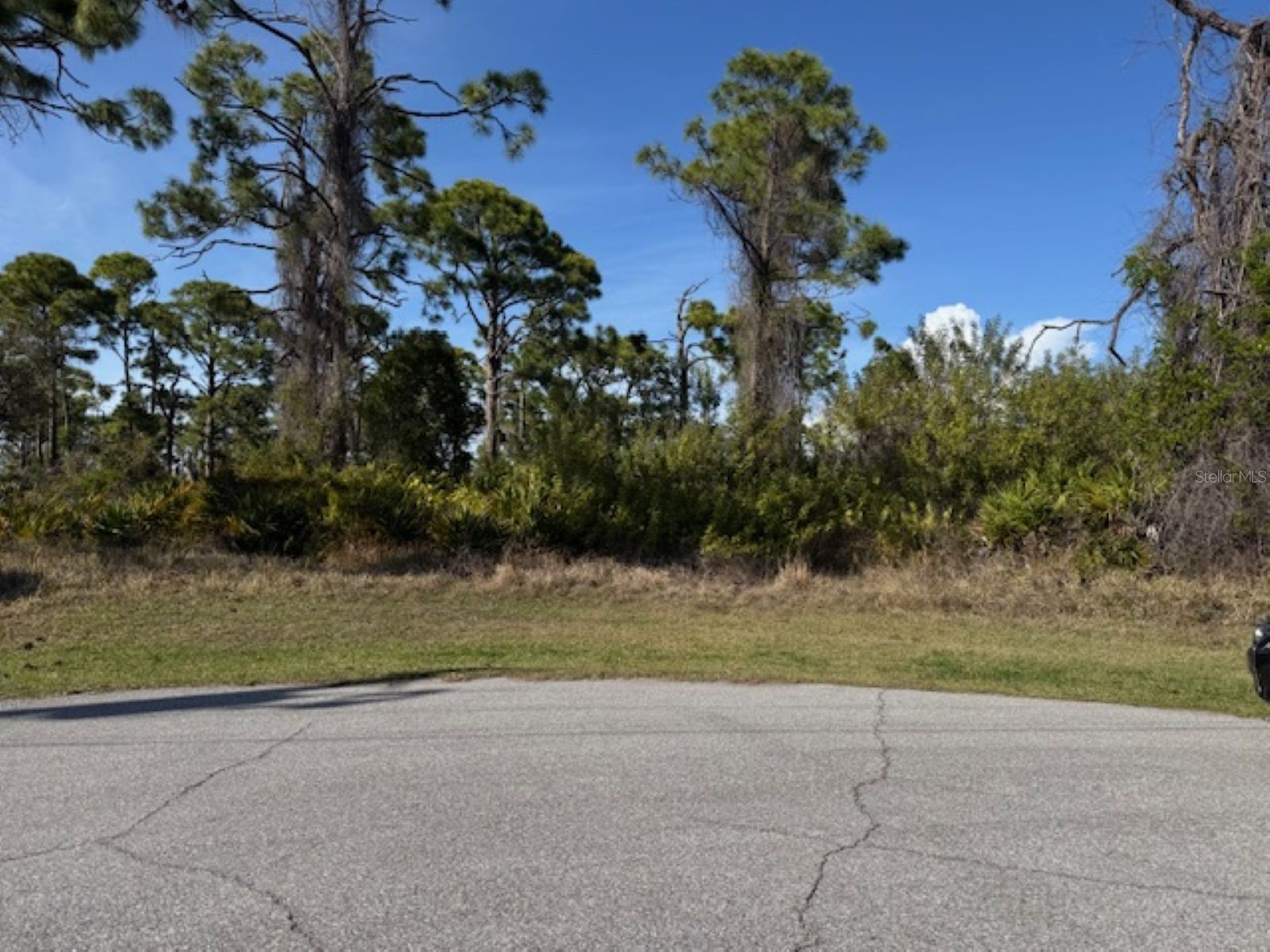 102 Beryl Drive Rotonda West FL 33947 A4683289 image3