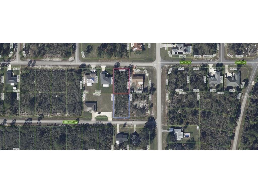 102 Buccaneer Street NW Lake Placid FL 33852 L4960387 image3