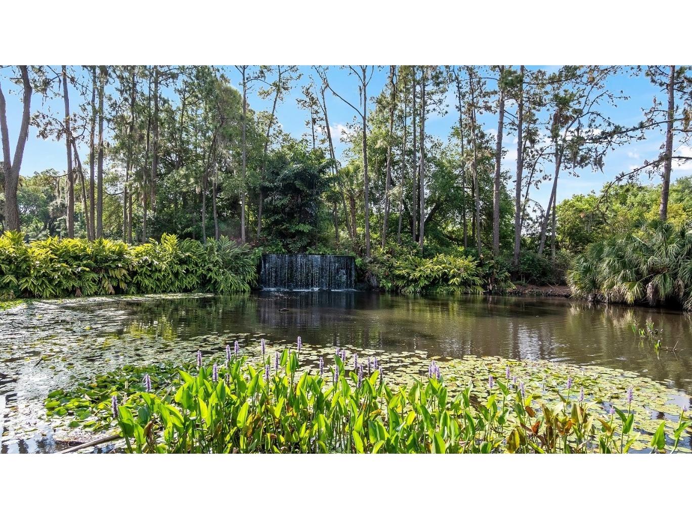102 Camino Real Boulevard #102 Howey In The Hills FL 34737 G5091599 image56