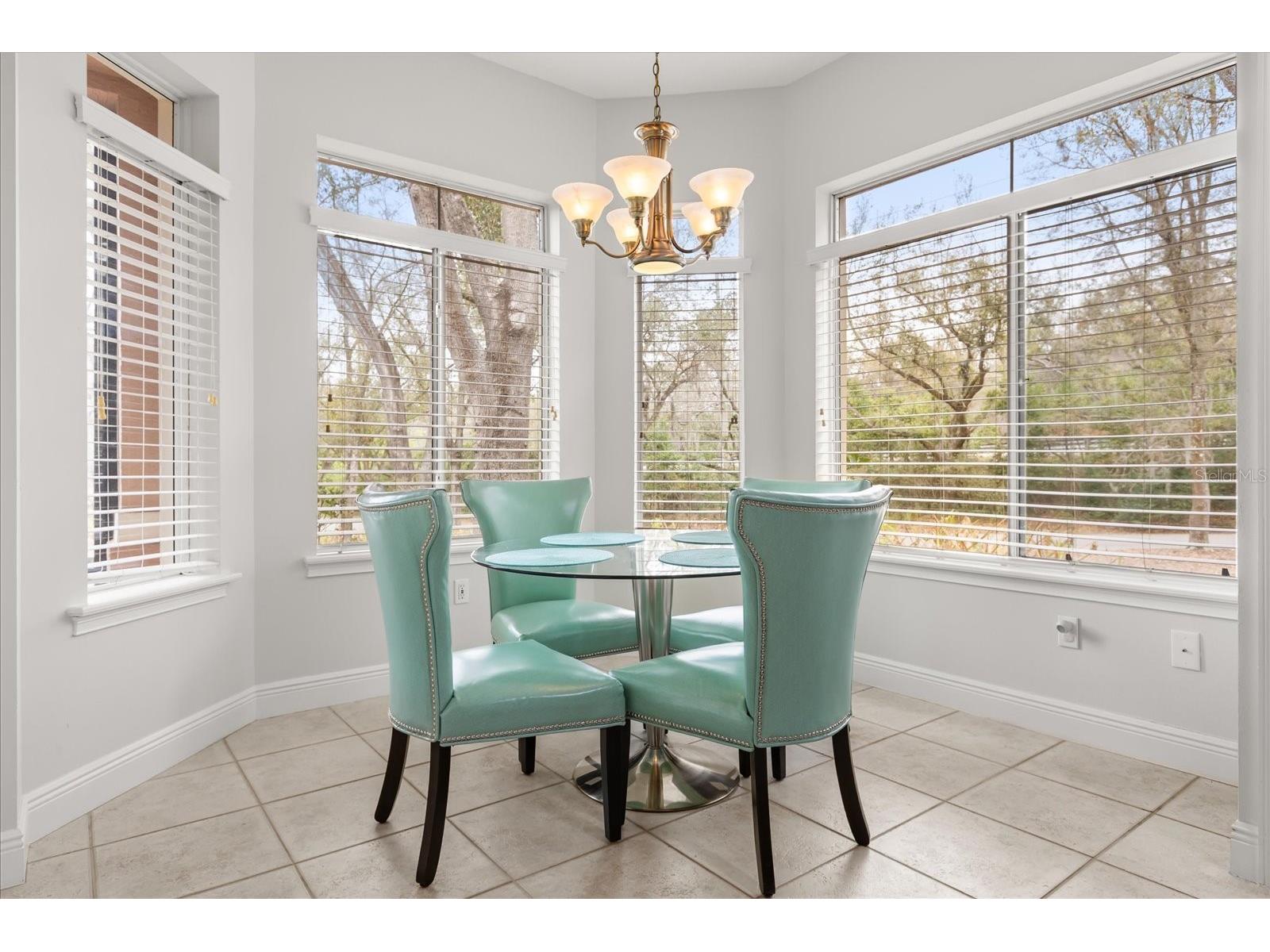 102 Camino Real Boulevard #102 Howey In The Hills FL 34737 G5108829 image10