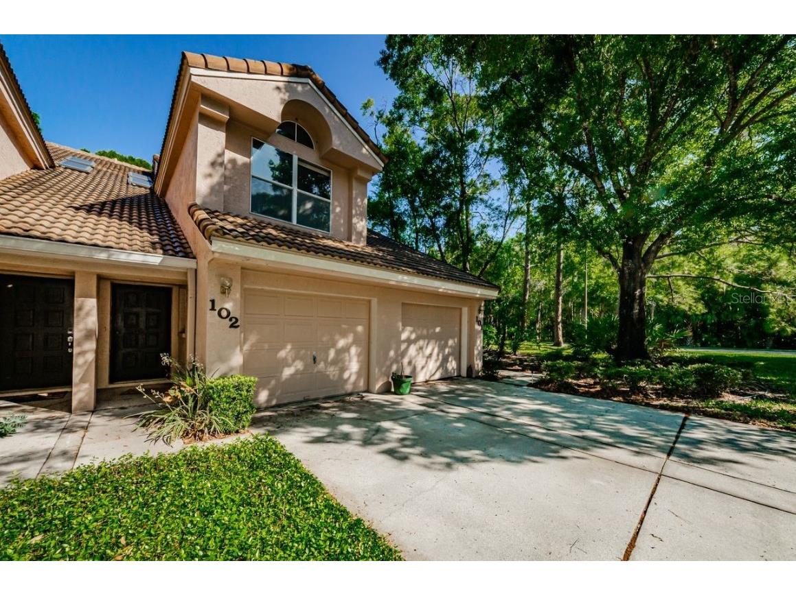 102 Clays Trail Oldsmar FL 34677 U8157202 image1