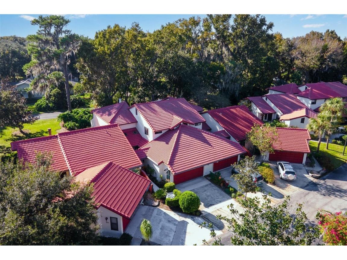 102 Clusterwood Drive Yalaha FL 34797 - LAKE HARRIS G5075266 image1