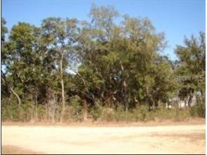 102 Cottonwood Drive Hawthorne FL 32640 O6177212 image1